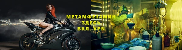 трава Няндома