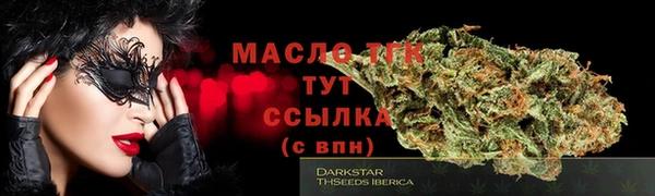 индика Нязепетровск