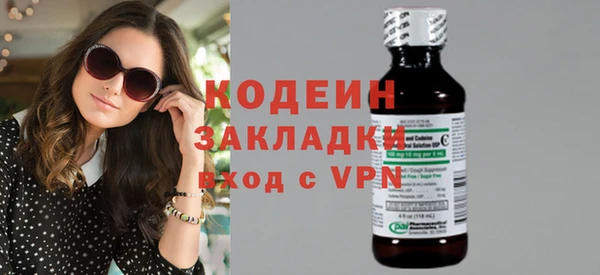 индика Нязепетровск