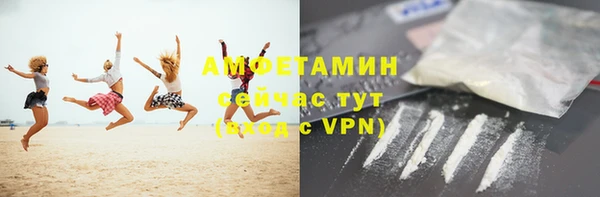 трава Няндома