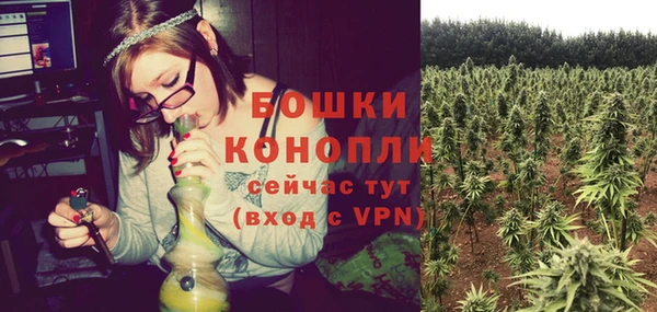 индика Нязепетровск