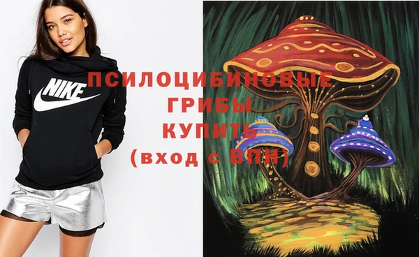 твердый Осташков
