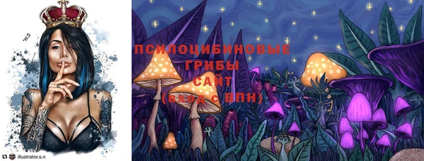 шишки Новодвинск