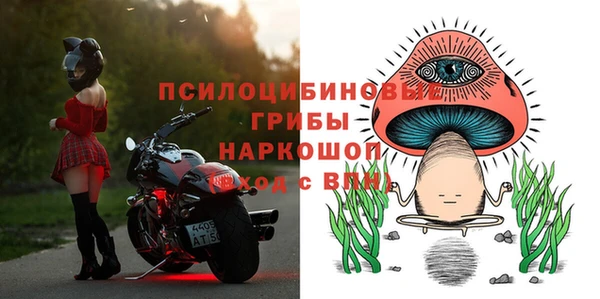 твердый Осташков